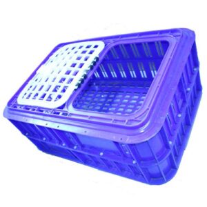 CRATE POULTRY -LIVE BIRD