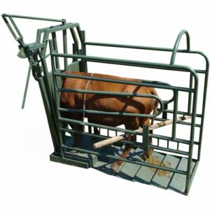 VET CLAMP - CATTLE