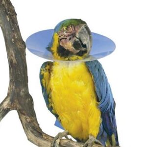 COLLAR BUSTER BIRDS 10cm