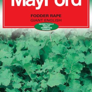 Veg Seeds Small Pack RAPE