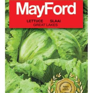 Veg Seeds Small Pack LETTUCE - GREAT LAKES - 18552