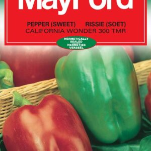 Veg Seeds Small Pack PEPPER - CALIFORNIA WONDER - 18519