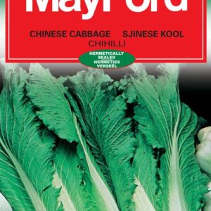 Veg Seeds Small Pack CHINESE CABBAGE