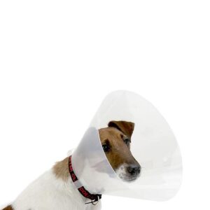 COLLAR BUSTER 15cm K273483