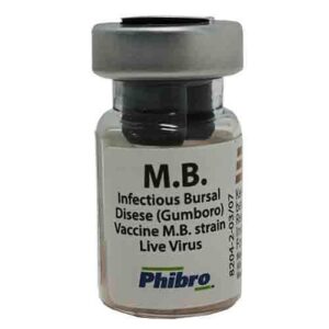 POULTRY VACCINE- GUMBORO MB