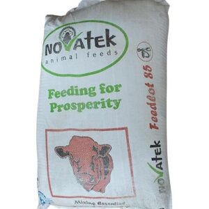 NOVATEK BEEF FEEDLOT 85