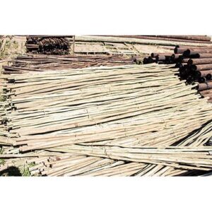 POLES BUILDING & FENCING WOOD 1.2m x 32 x 50 mm CREO