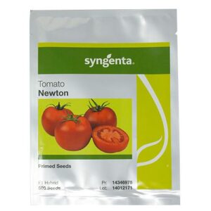 VEG SEEDS TOMATO NEWTON 500 seeds