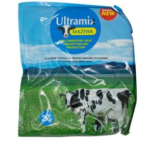 ULTRAMIX MAZIWA 2KG
