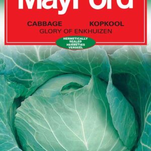 VEG SEEDS CABBAGE ENKH MAYFORD