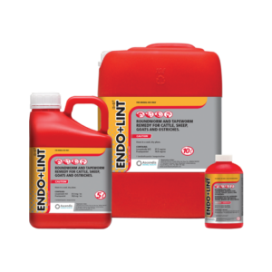 DEWORMER- LEVAMISOLE/PRAZIQUANTE -ENDO + LINT