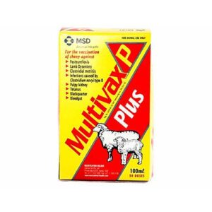 RUM VACCINE- MULTIVAX P PLUS 100ml