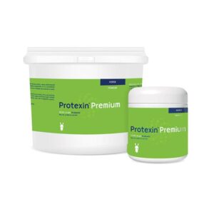 PROTEXIN PREMIUM - EQUINE