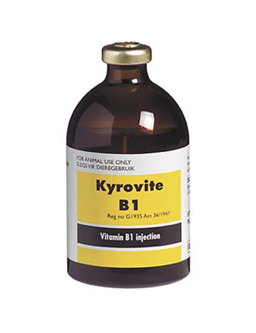 VITS & SUPPS- KYROVITE B1 INJECTABLE