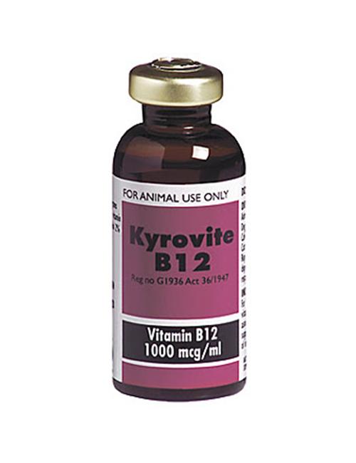VITS & SUPPS- KYROVITE B12 INJECTABLE
