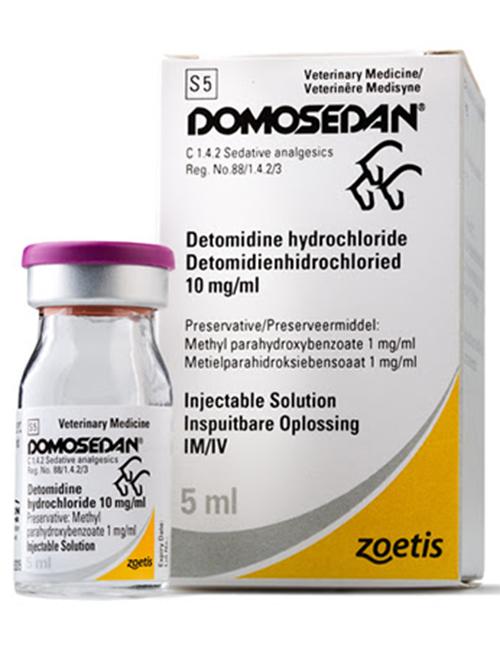 ANAESTHETIC- DOMOSEDAN (POM)