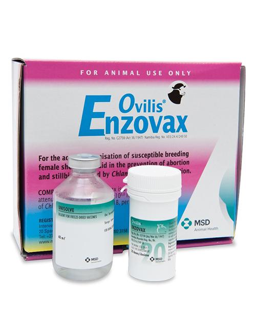 RUM VACCINE- OVILIS ENZOVAX 50 d + DIL