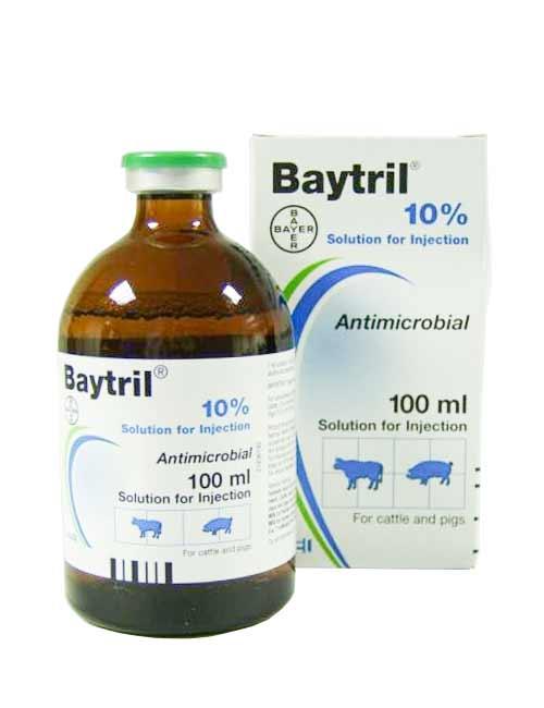 ANTIMICROBIAL- BAYTRIL 100 (10g/100ml) INJ