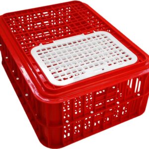 CRATE POULTRY CLASSIC - LIVE BIRD