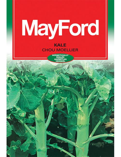 Veg Seeds Small Pack KALE - CHOUMOLLIER - 18704