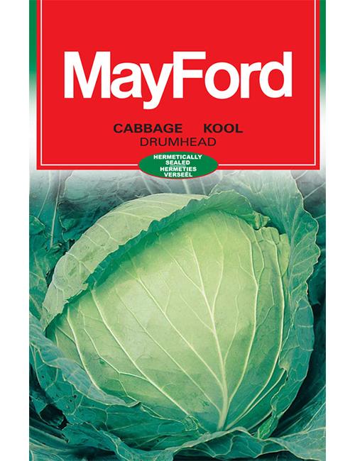 Veg Seeds Small Pack MUSTARD - BROAD LEAF